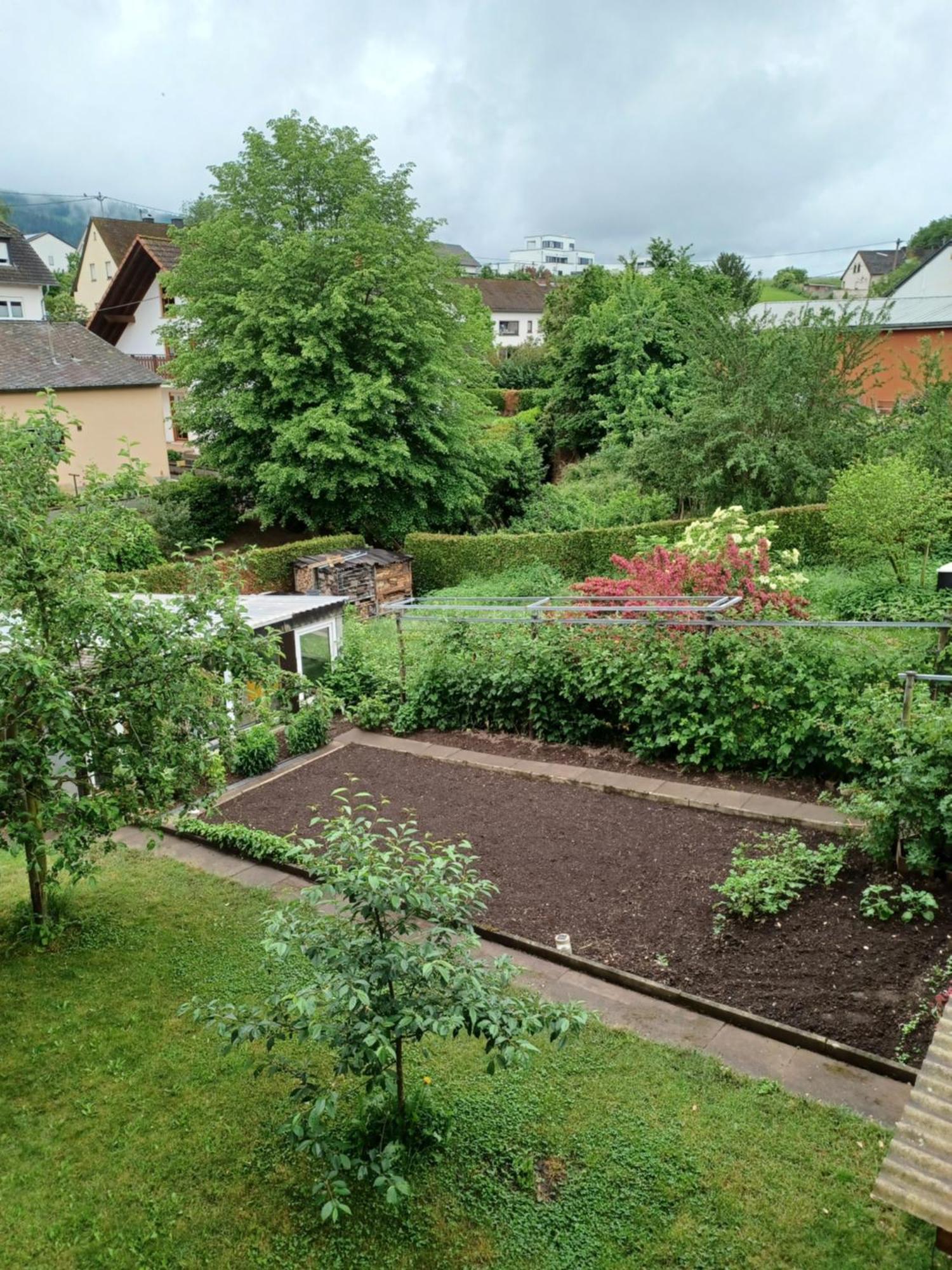 Gaestehaus Bausch Mehring (Rhineland-Palatinate) Exterior foto