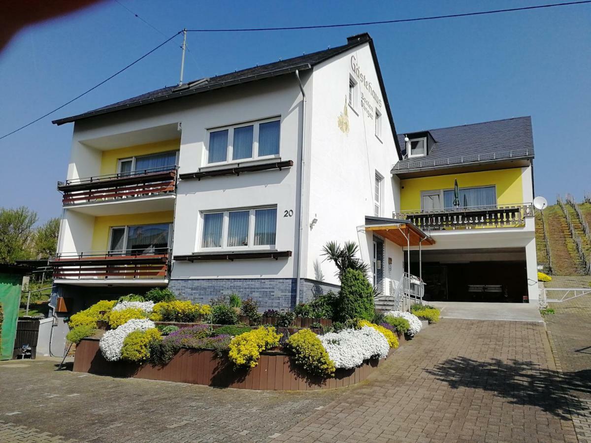 Gaestehaus Bausch Mehring (Rhineland-Palatinate) Exterior foto